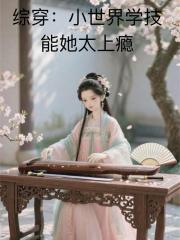 综穿：小世界学技能她太上瘾